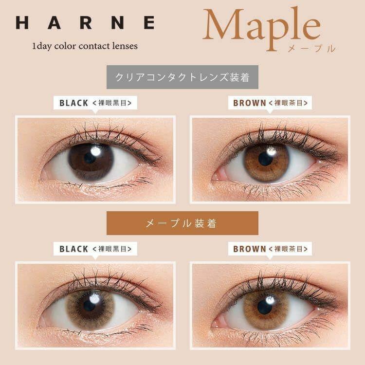 HARNE   - 1 day   Maple   (10p)
