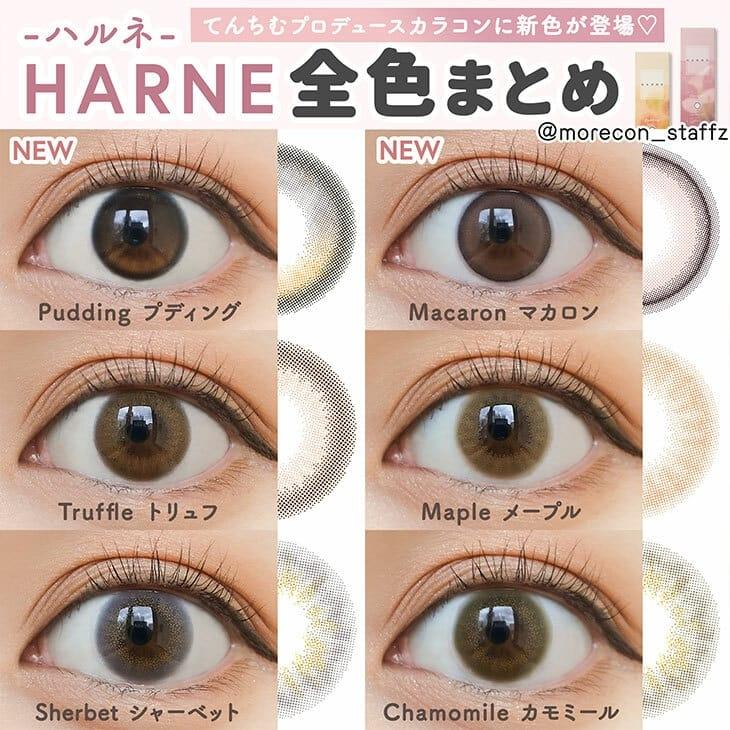 HARNE   - 1 day  Truffle   (10p)