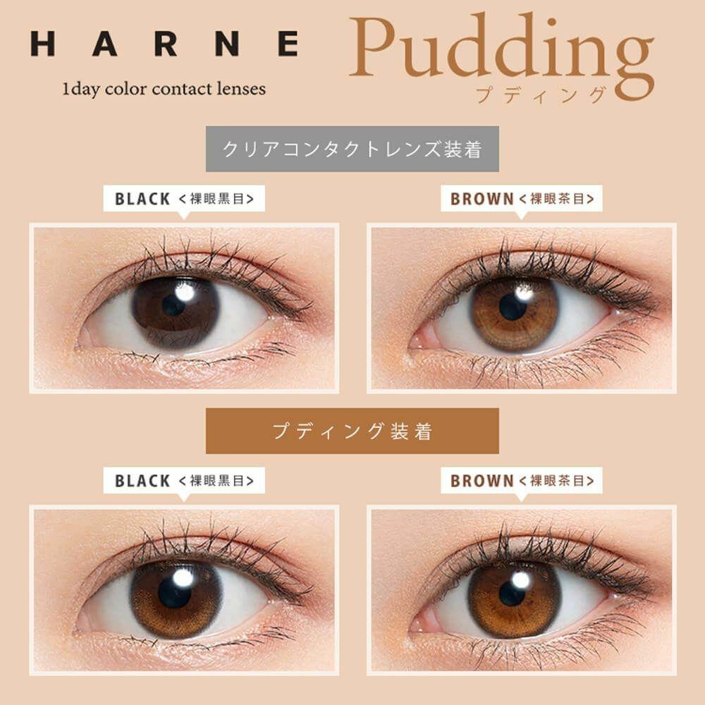 HARNE   - 1 day  Pudding  (10p)
