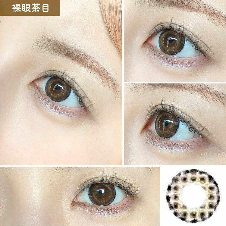 Lemieu - 1Day Real Brownie (10P)