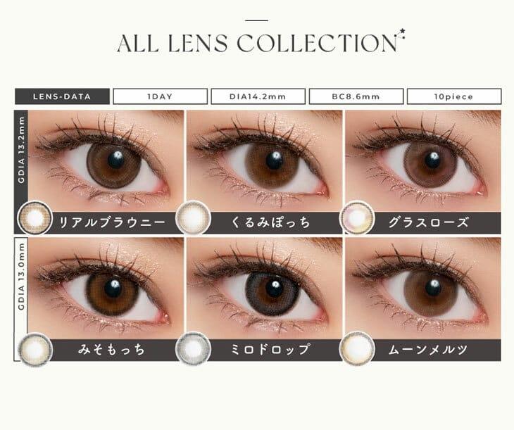 Lemieu - 1Day Real Brownie (10P)