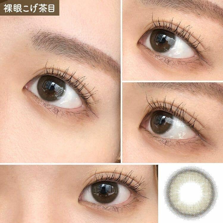 perse - 1 Day Teddy Brown (10P)