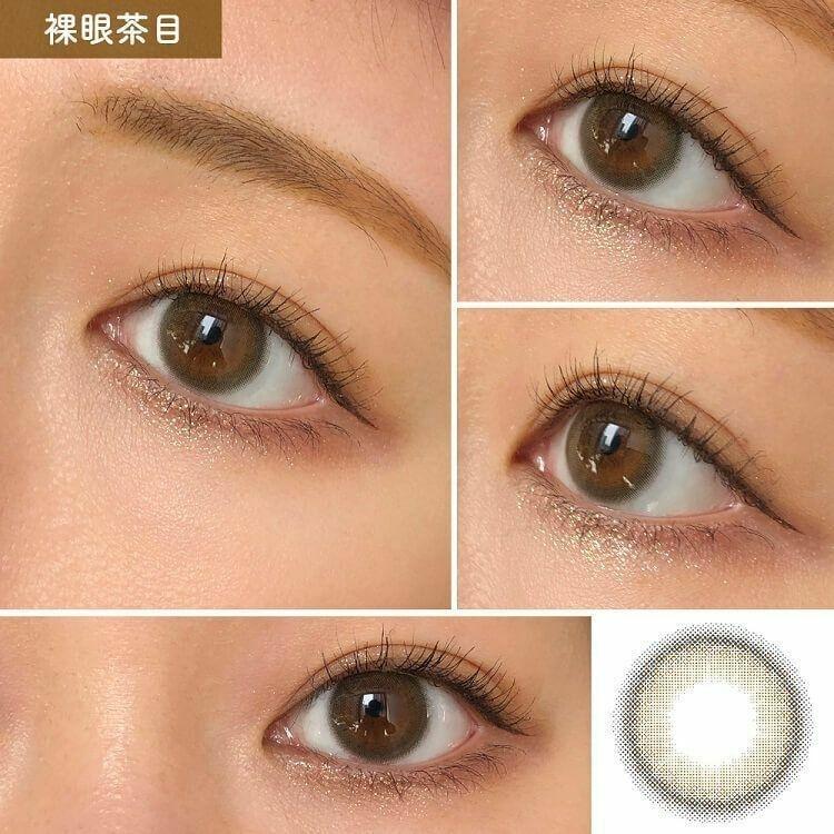 perse - 1 Day Teddy Brown (10P)