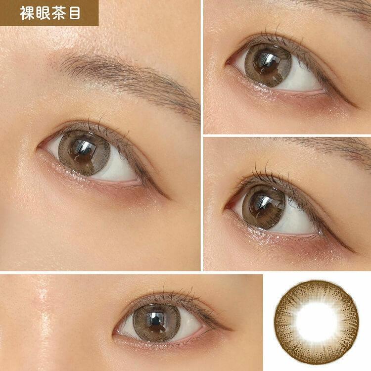 Majette 1 Day - Majestic Brown (10P)