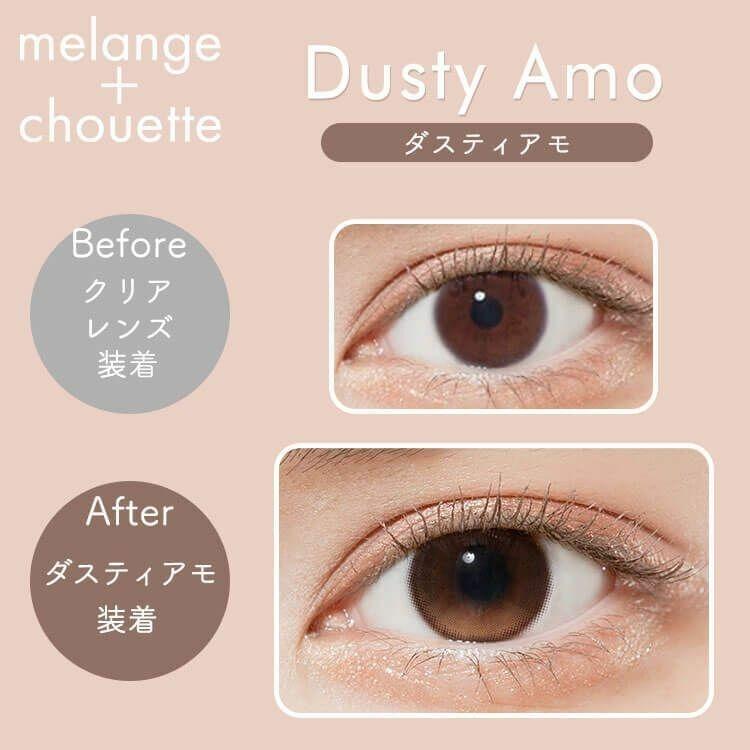 MELANGE chouette - 1 Day Dusty Amo (10P)
