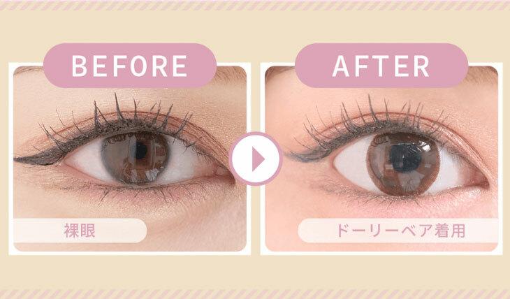 MieQaM  - 1 day  Dolly Bear  (10p)