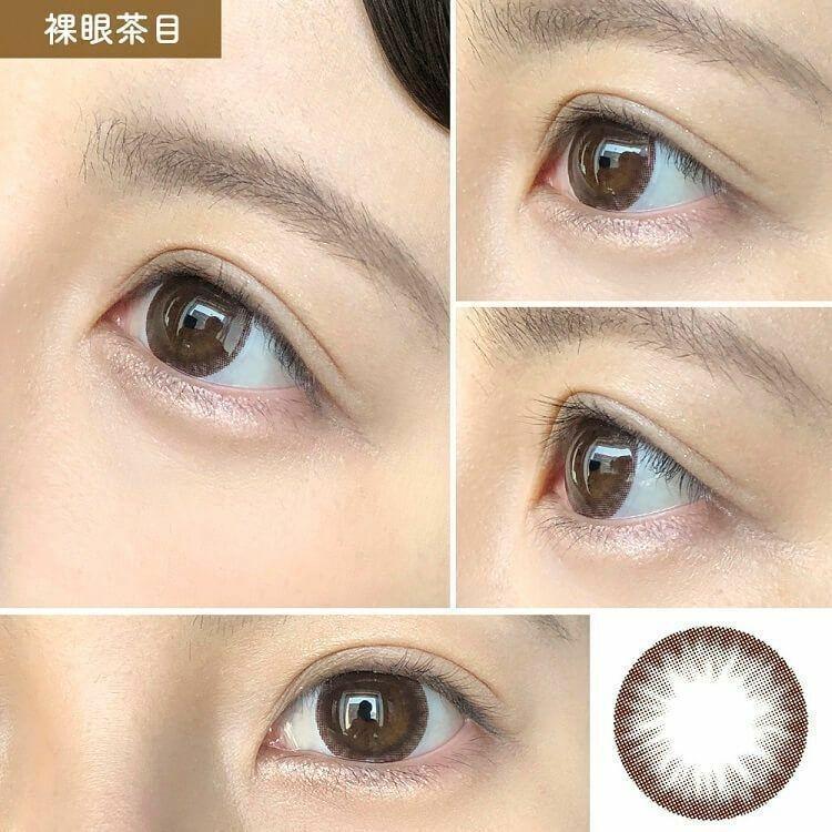 MieQaM  - 1 day  Dolly Bear  (10p)