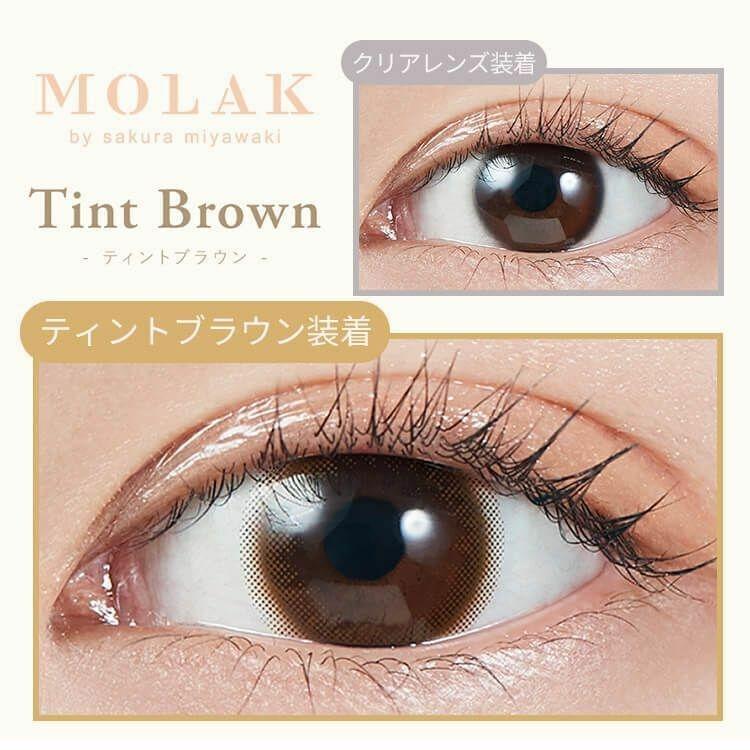 MOLAK - 1day Tint Brown (10P)