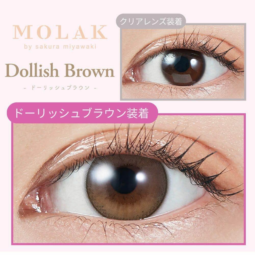 MOLAK - 1day Dollish Brown (10P)