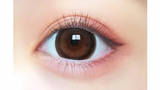 PRIMORE - 1 Day Pri Dolly brown (10P)