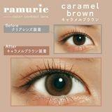 ramurie  - 1 day caramel brown (6p)