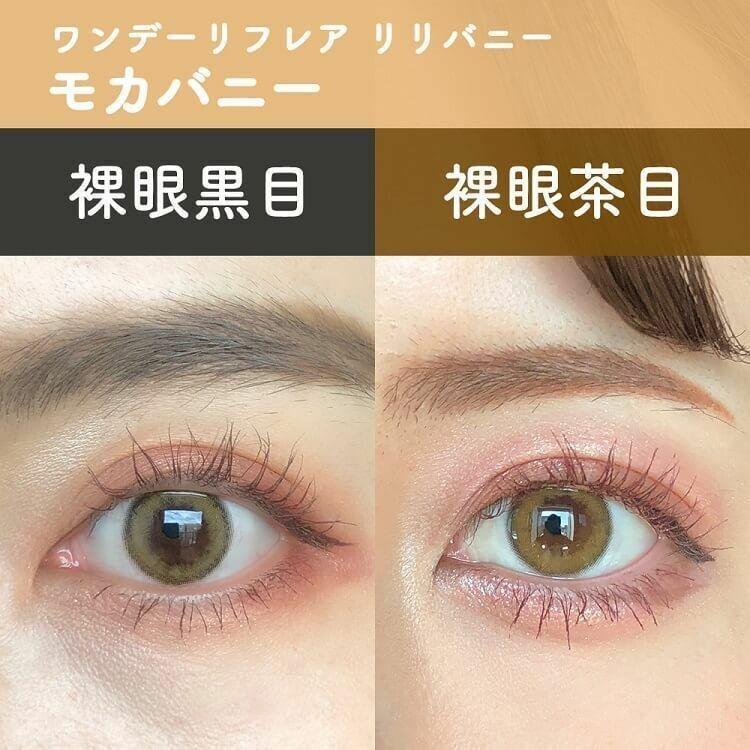 1-DAY Refrear Riri Bunny - Moca Bunny (10P)