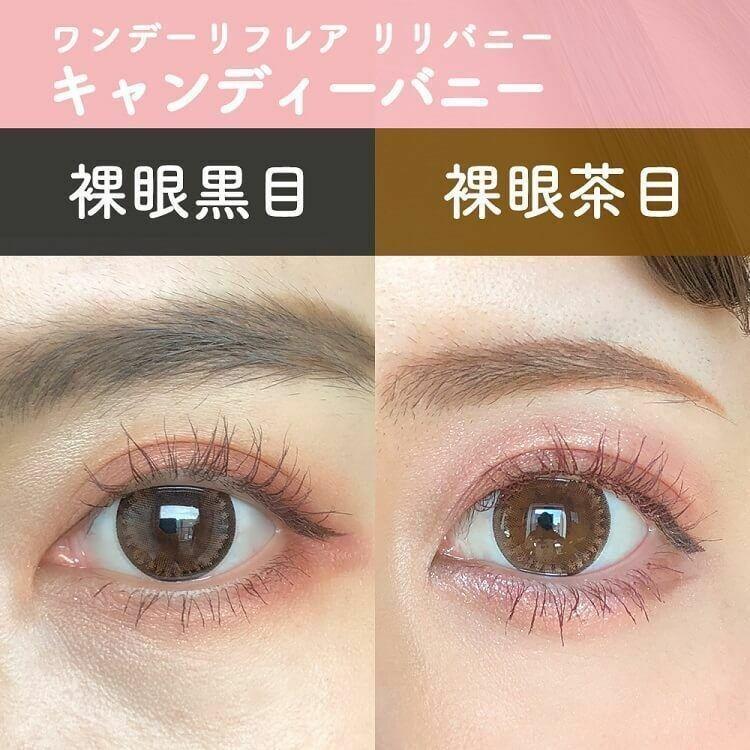 1-DAY Refrear Riri Bunny - Candy Bunny (10P)