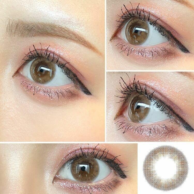 1-DAY Refrear elebelle - Luxe Moca (10P)