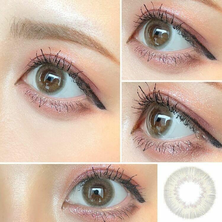 1-DAY Refrear elebelle - Sheer Brown (10P)