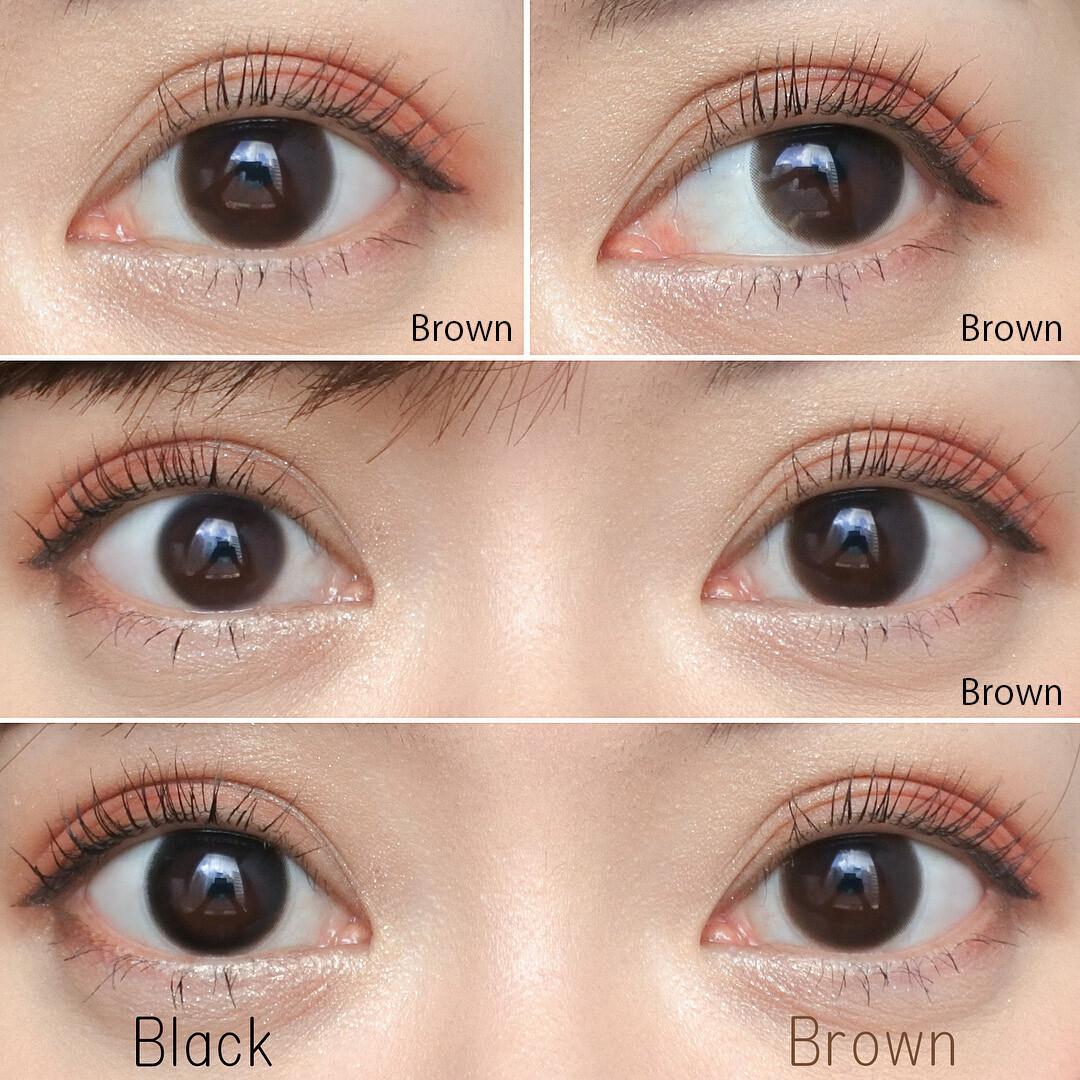 Revia - 1 Day Circle - Brown (10P)