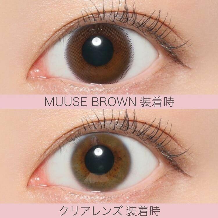 Revia - 1 Day Circle - Muuse Brown (10P)