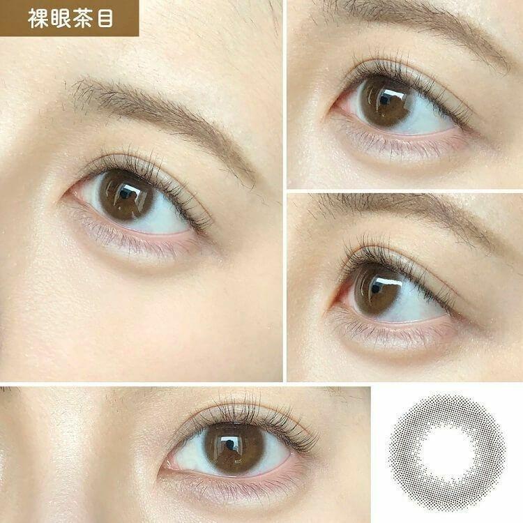 Revia - 1 Day Circle - Muuse Brown (10P)