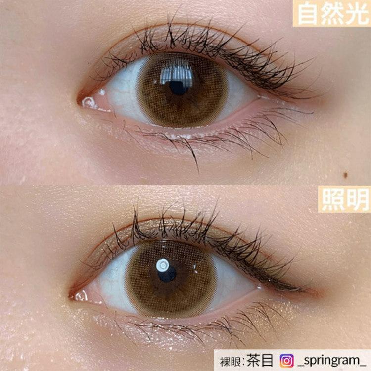 Topards 1day - Honey Amber (10P)