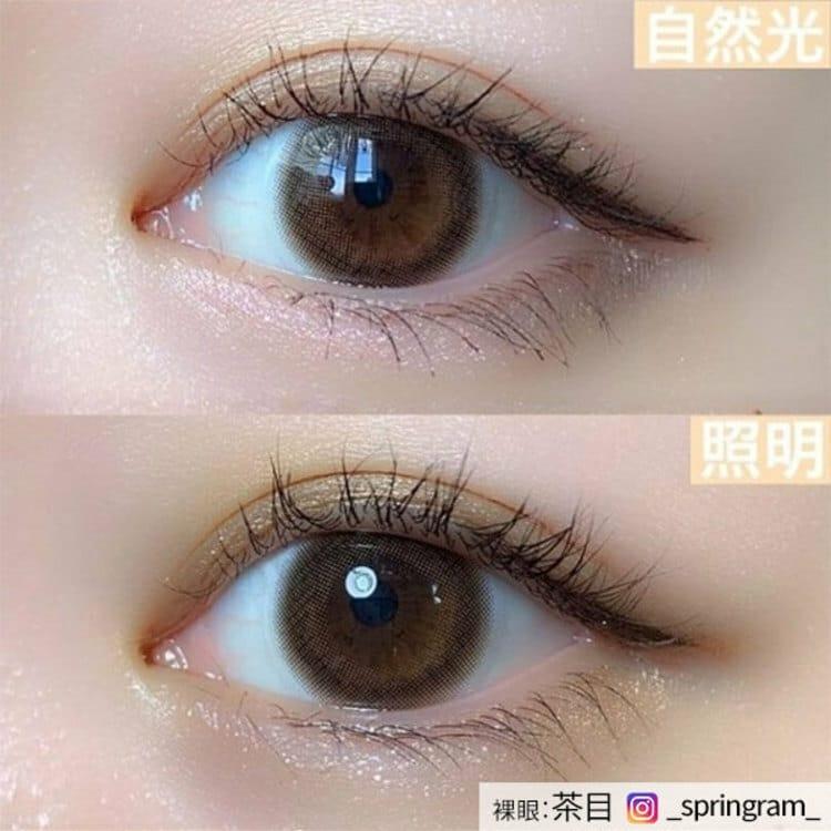 Topards 1day - Date Topaz (10P)