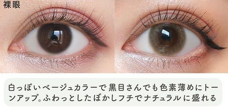 Topards Toric 散光 1day - Opal