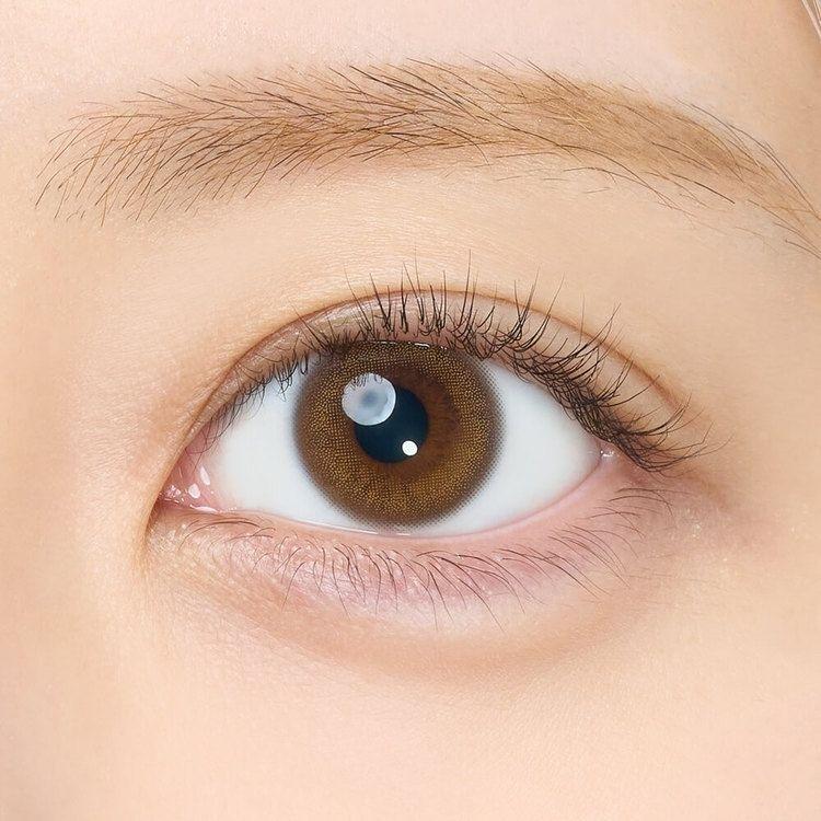 EYECICLE - 1 Day Polaris (10P)