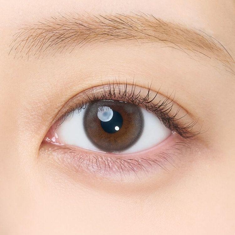 EYECICLE - 1 Day Winter (10P)