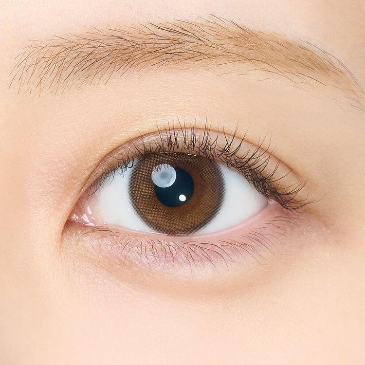 EYECICLE - 1 Day Brown Neige (10P)