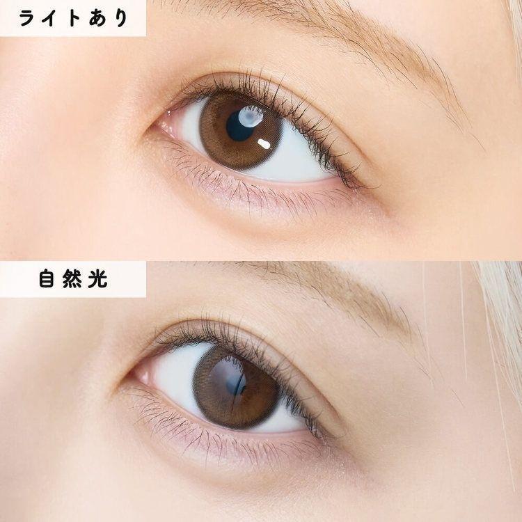 EYECICLE - 1 Day Brown Neige (10P)