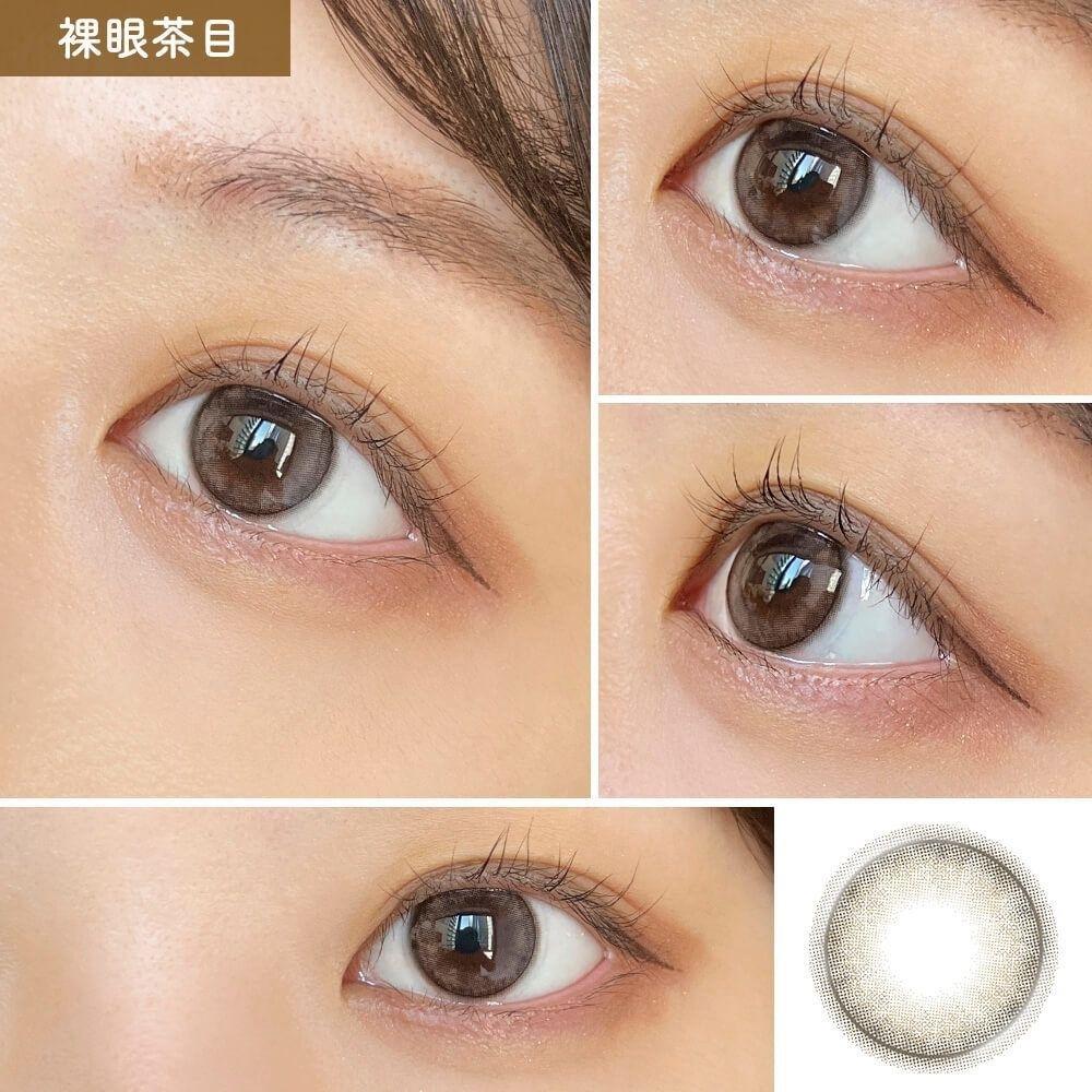 miium - Shell Racco 月con (2P)