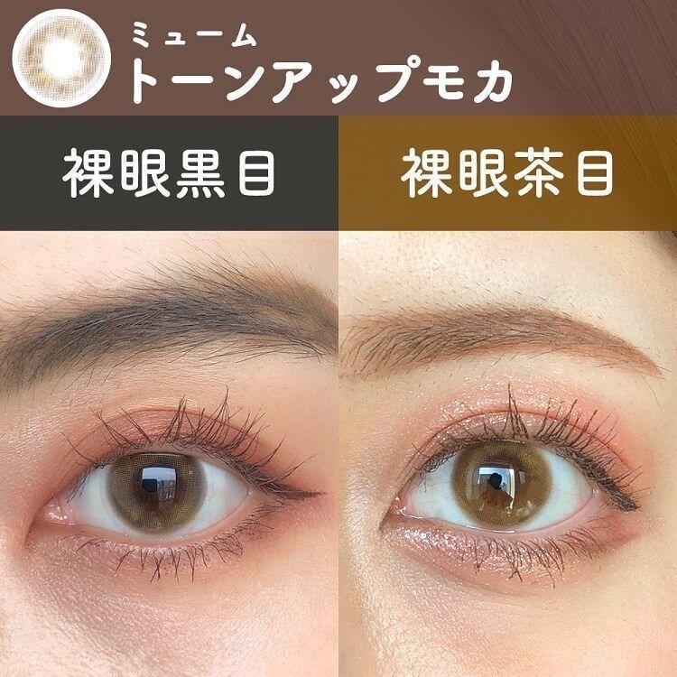 miium - Tone Up Mocha 月con (2P)