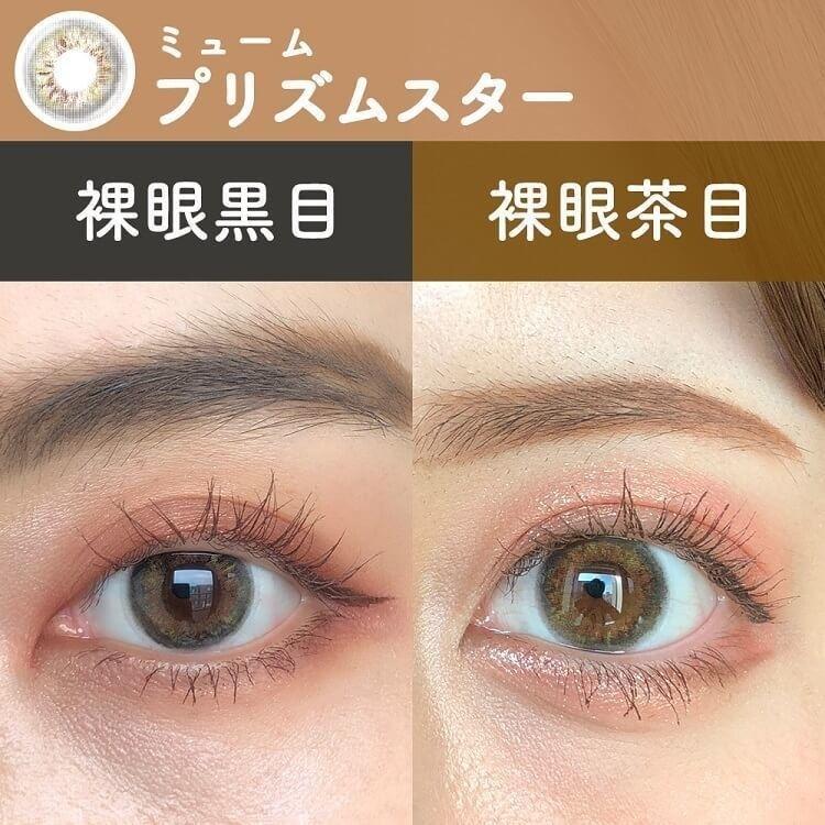 miium - classic 1 day Prism Star(10P)