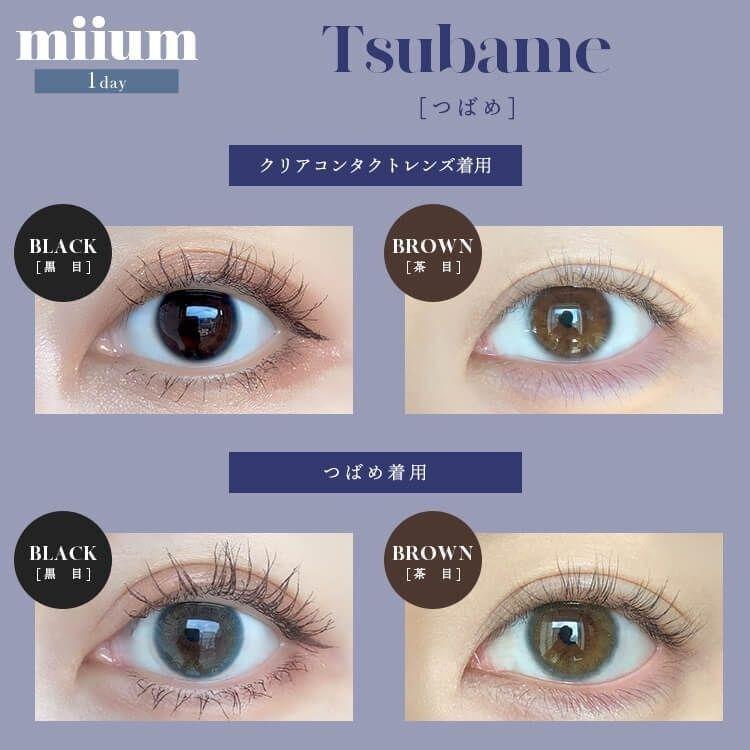 miium - classic 1 day Tsubame  (10P)