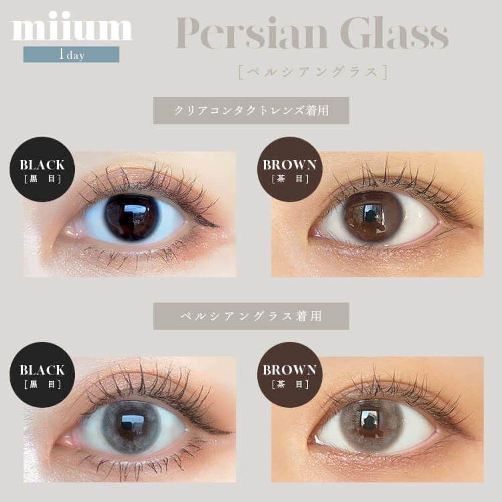 miium - classic 1 day Persian Glass  (10P)
