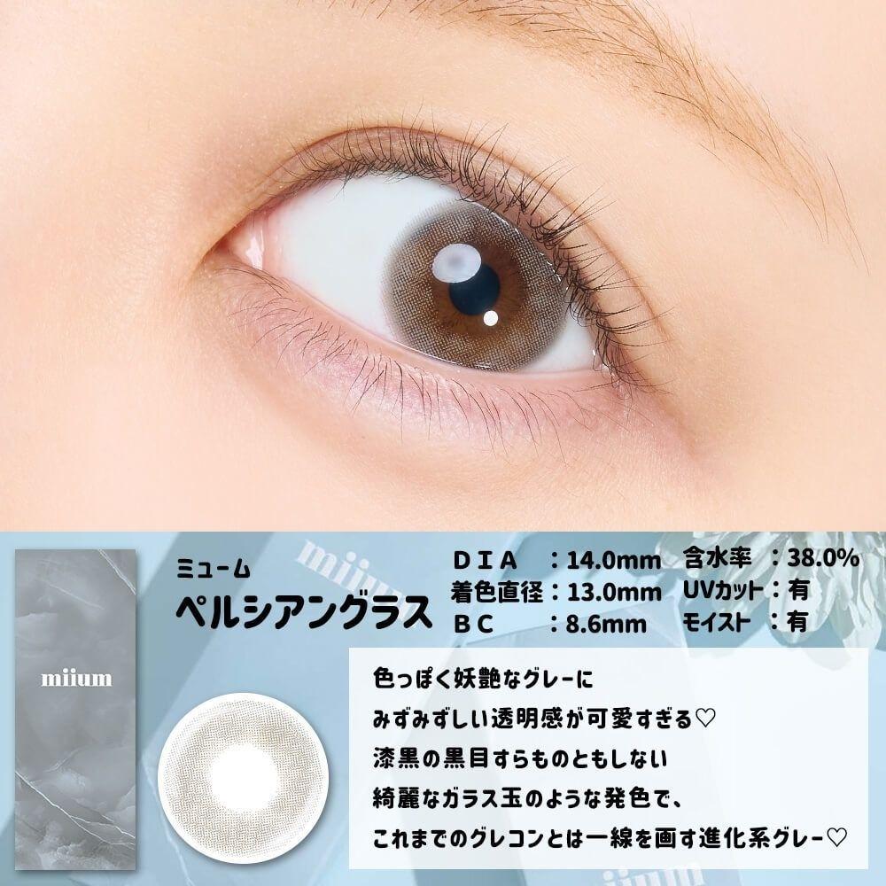 miium - classic 1 day Persian Glass  (10P)