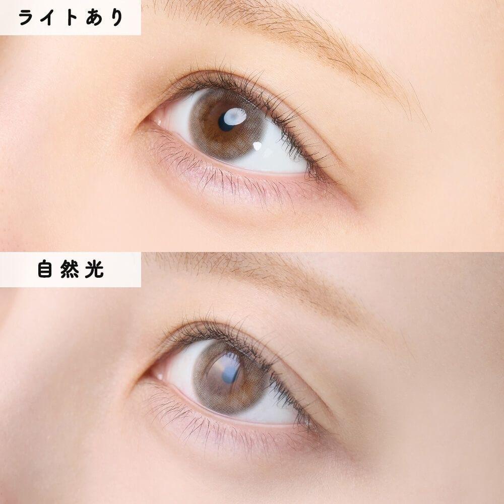 miium - classic 1 day Persian Glass  (10P)