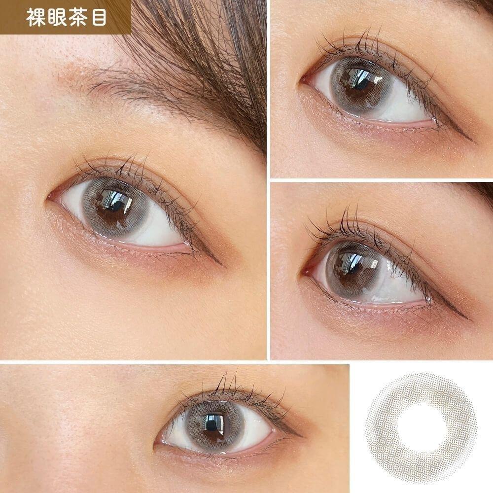 miium - classic 1 day Persian Glass  (10P)