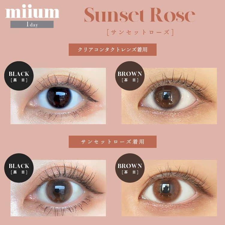 miium - classic 1 day Sunset Rose (10P)