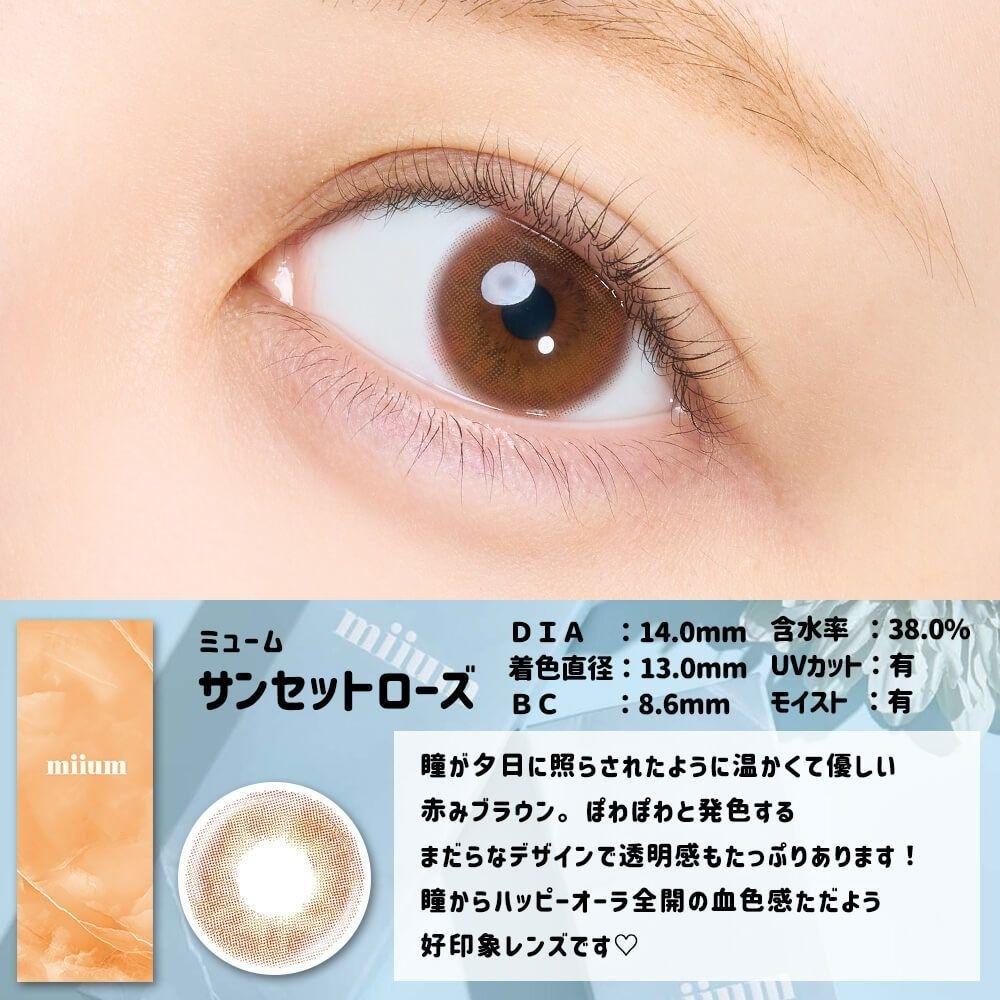 miium - classic 1 day Sunset Rose (10P)