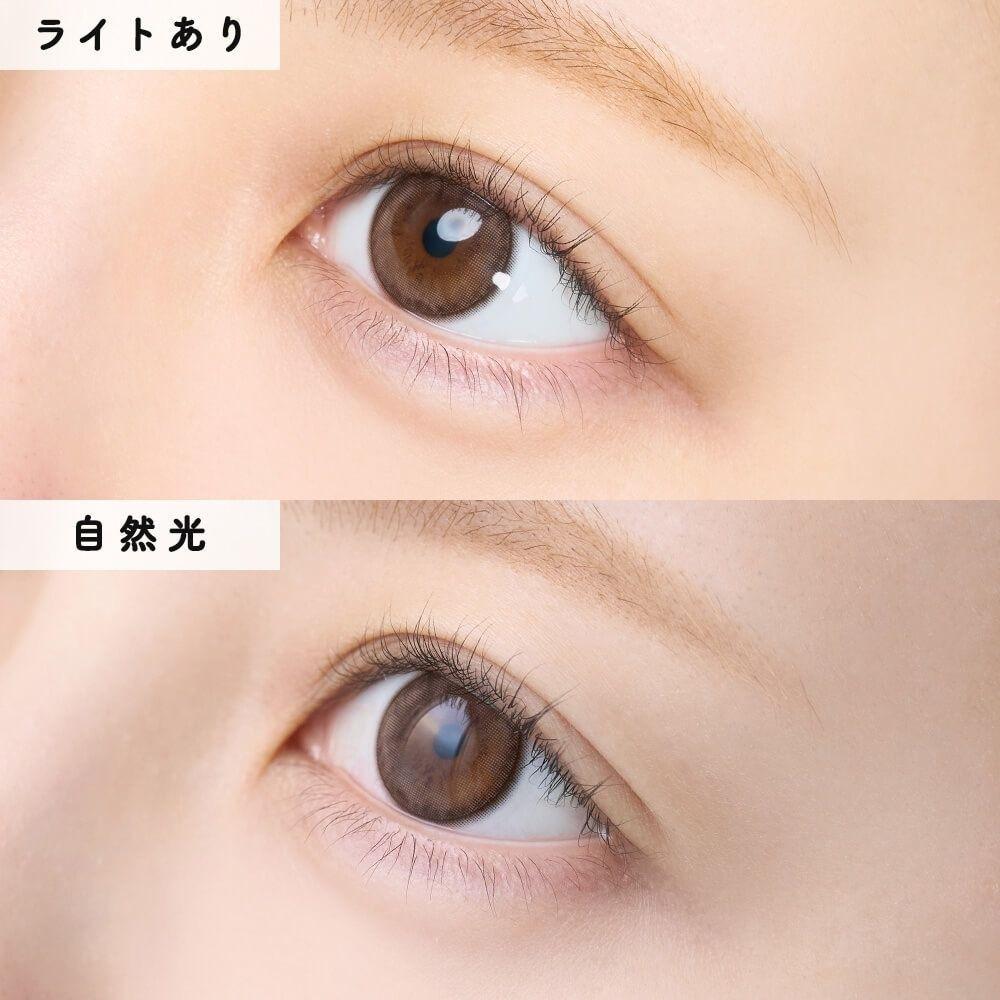 miium - classic 1 day Shell Racco  (10P)