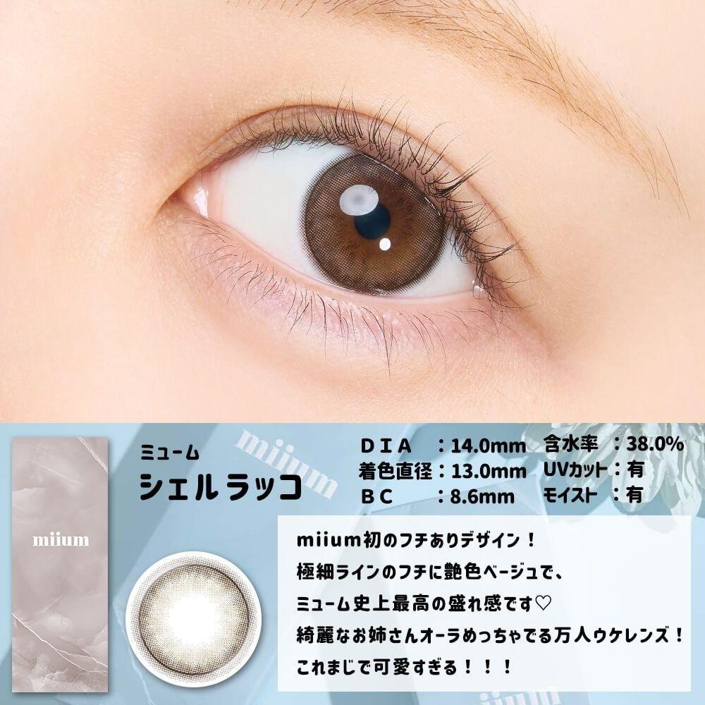 miium - classic 1 day Shell Racco  (10P)