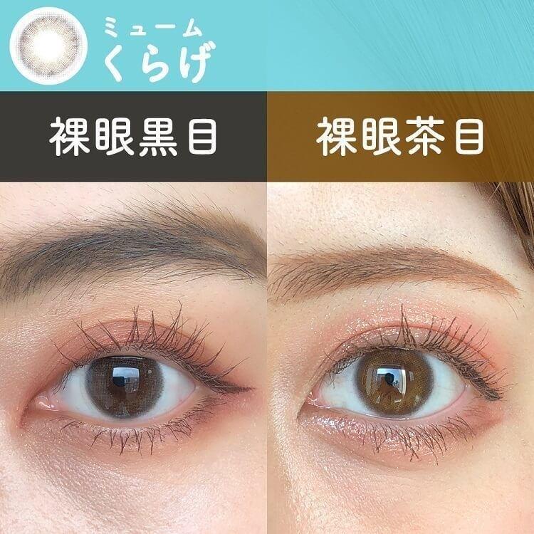 miium - classic 1 day Kurage  (10P)