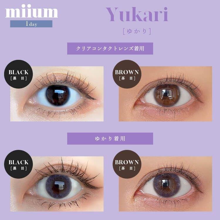 miium - classic 1 day Yukari  (10P)