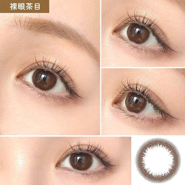 Eye Make - 1 day - Brown (10P)