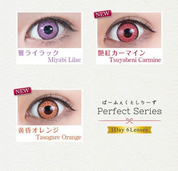 Perfect Series - Dolce Contact 1day Senjin White  (6P)