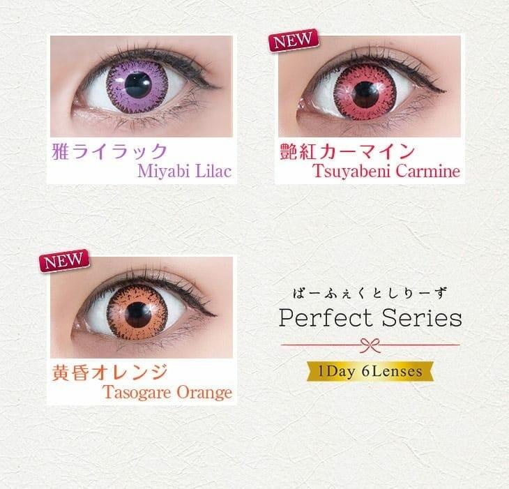 Perfect Series - Dolce Contact 1day Maiko Red (6P)