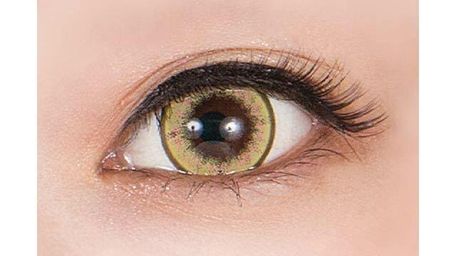 Perfect Series - Full Bloom 1day Lantana (6P)