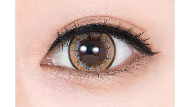 Perfect Series - Full Bloom 1day Strelitzia (6P)