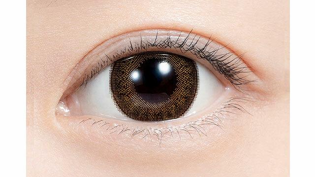 feliamo - 1 Day Chestnut (10P)