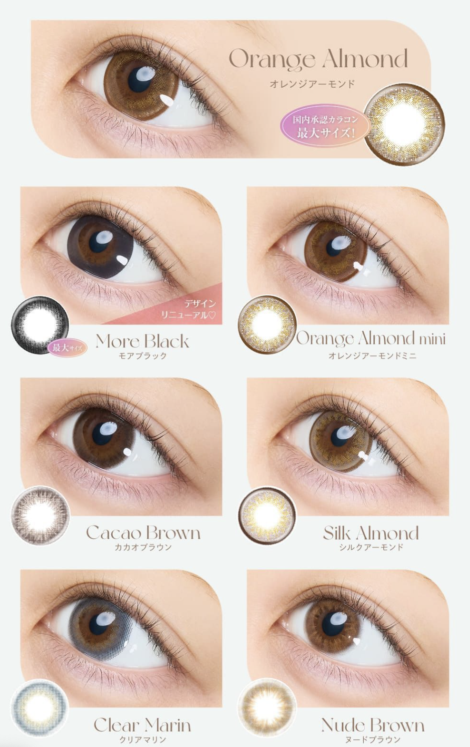 eye closet - 1 Day Sweet Series Choco cro (10P)